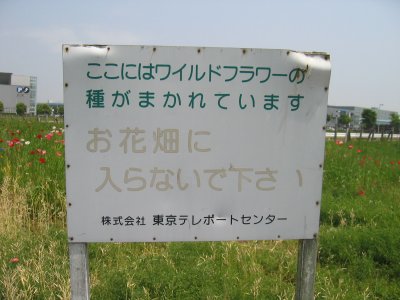 e|[gEG̉Ԕ